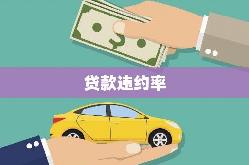 富源贷款违约率