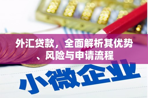 富源外汇贷款，全面解析其优势、风险与申请流程