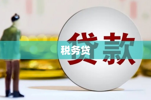 富源税务贷