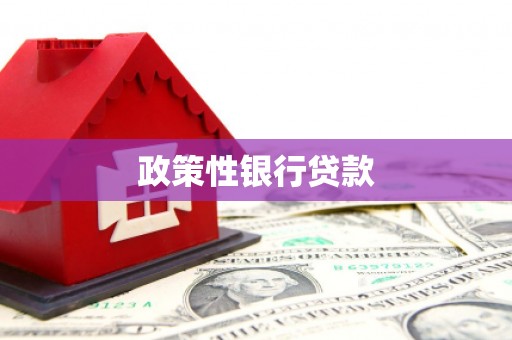 富源政策性银行贷款