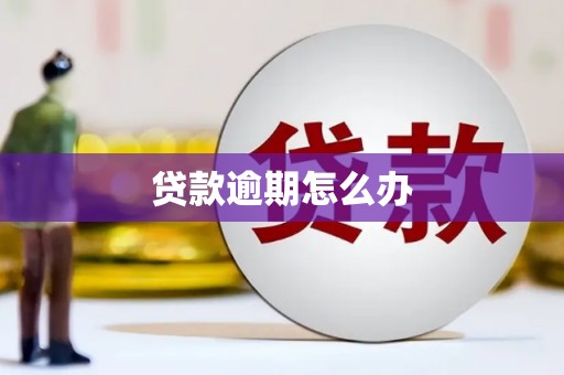 富源贷款逾期怎么办
