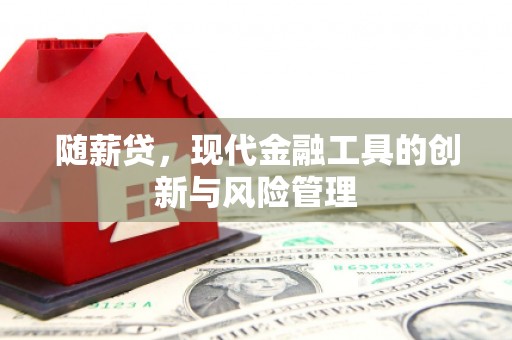 富源随薪贷，现代金融工具的创新与风险管理