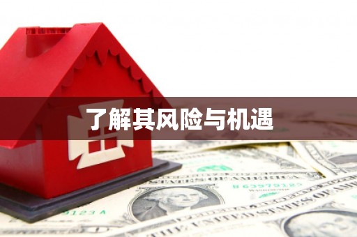 富源了解其风险与机遇