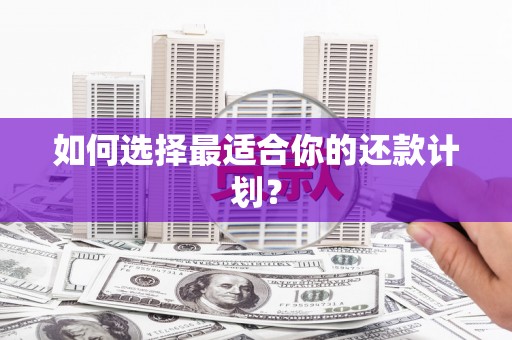 富源如何选择最适合你的还款计划？