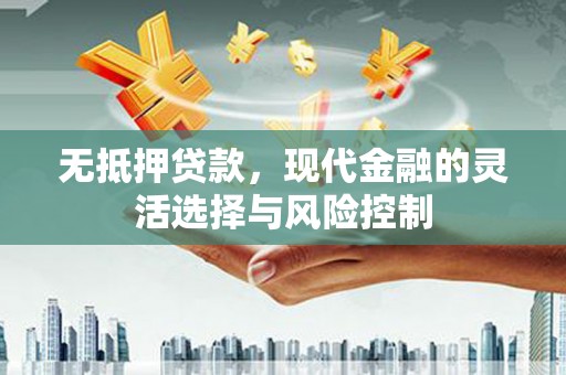 富源无抵押贷款，现代金融的灵活选择与风险控制