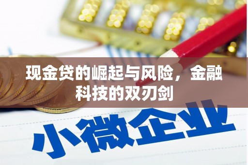 富源现金贷的崛起与风险，金融科技的双刃剑