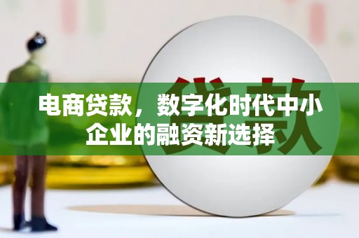 富源电商贷款，数字化时代中小企业的融资新选择