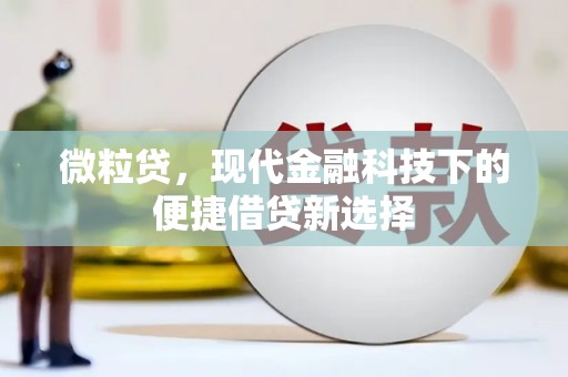 富源微粒贷，现代金融科技下的便捷借贷新选择