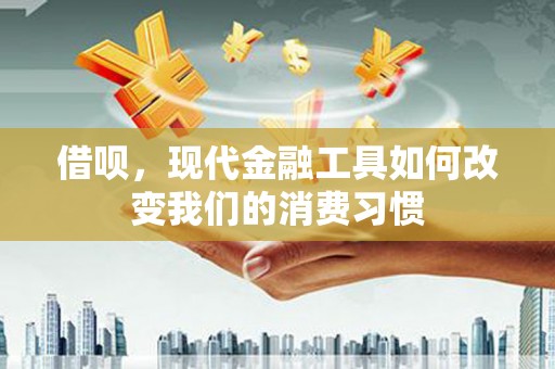 富源借呗，现代金融工具如何改变我们的消费习惯