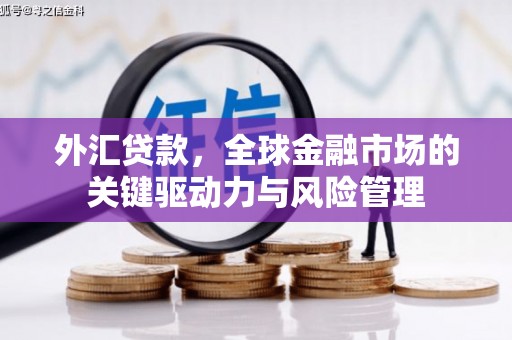 富源外汇贷款，全球金融市场的关键驱动力与风险管理