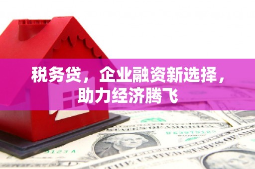 富源税务贷，企业融资新选择，助力经济腾飞