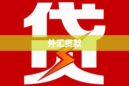 富源外汇贷款