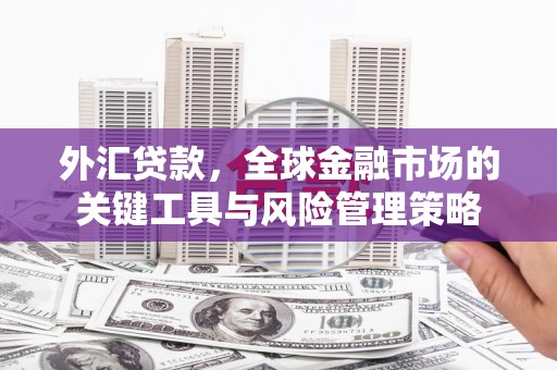 富源外汇贷款，全球金融市场的关键工具与风险管理策略
