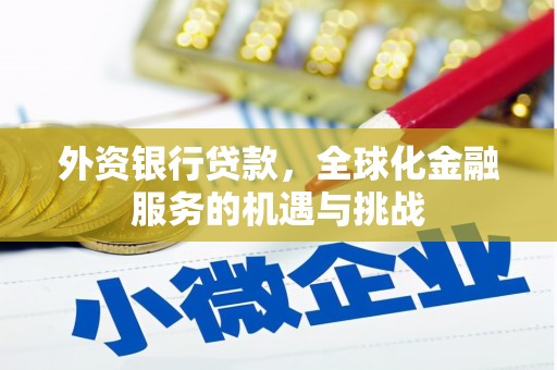 富源外资银行贷款，全球化金融服务的机遇与挑战