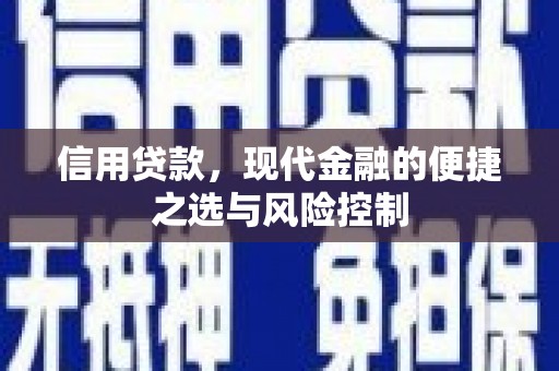 富源信用贷款，现代金融的便捷之选与风险控制