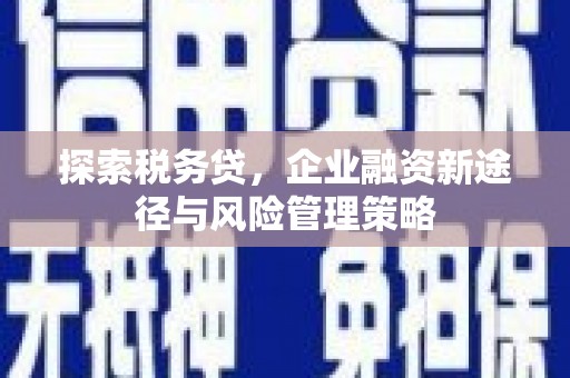 富源探索税务贷，企业融资新途径与风险管理策略