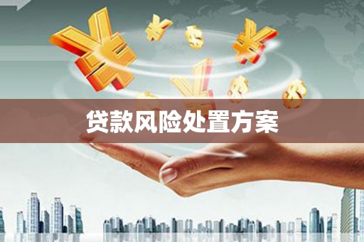 富源贷款风险处置方案