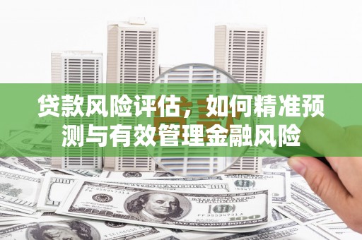 富源贷款风险评估，如何精准预测与有效管理金融风险