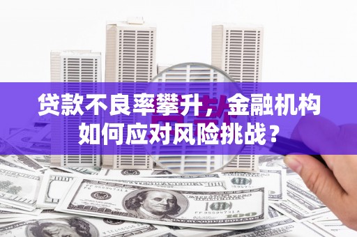 富源贷款不良率攀升，金融机构如何应对风险挑战？