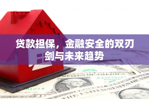 富源贷款担保，金融安全的双刃剑与未来趋势