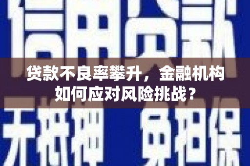 富源贷款不良率攀升，金融机构如何应对风险挑战？