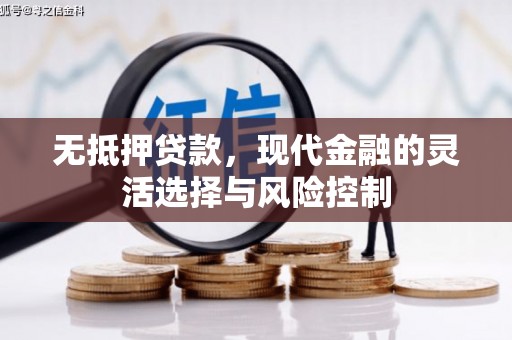 富源无抵押贷款，现代金融的灵活选择与风险控制