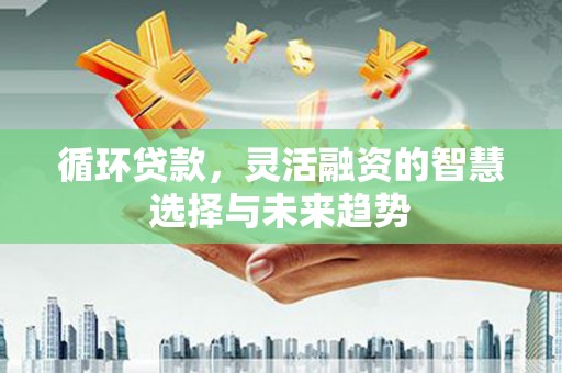 富源循环贷款，灵活融资的智慧选择与未来趋势