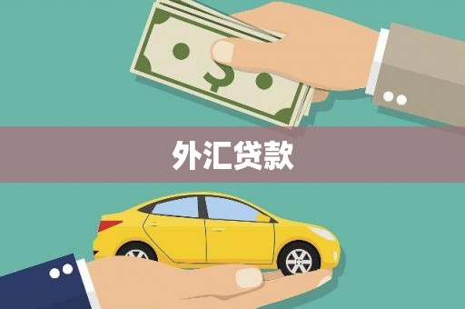 富源外汇贷款