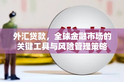 富源外汇贷款，全球金融市场的关键工具与风险管理策略
