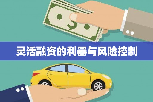 富源灵活融资的利器与风险控制