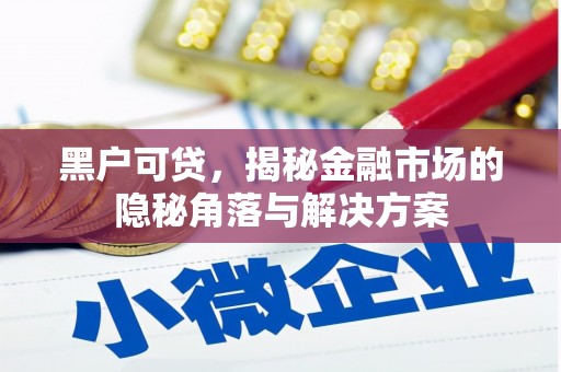富源黑户可贷，揭秘金融市场的隐秘角落与解决方案