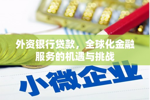 富源外资银行贷款，全球化金融服务的机遇与挑战