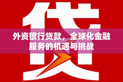 富源外资银行贷款，全球化金融服务的机遇与挑战