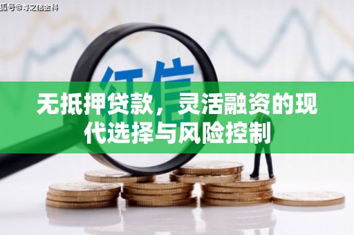 富源无抵押贷款，灵活融资的现代选择与风险控制