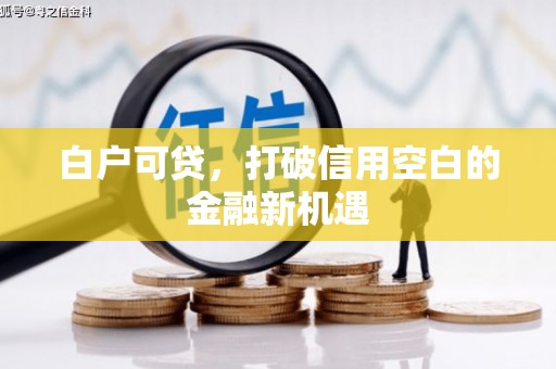 富源白户可贷，打破信用空白的金融新机遇