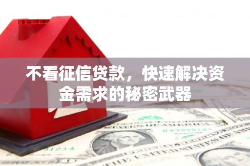 富源不看征信贷款，快速解决资金需求的秘密武器
