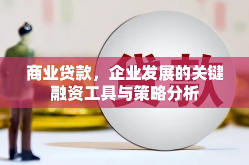 富源商业贷款，企业发展的关键融资工具与策略分析