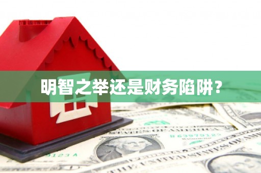 富源明智之举还是财务陷阱？
