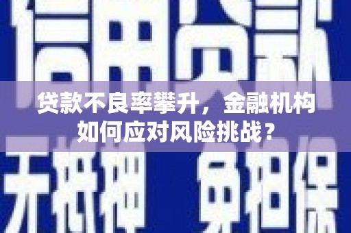 富源贷款不良率攀升，金融机构如何应对风险挑战？