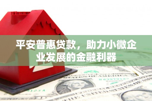 富源平安普惠贷款，助力小微企业发展的金融利器