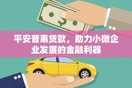 富源平安普惠贷款，助力小微企业发展的金融利器