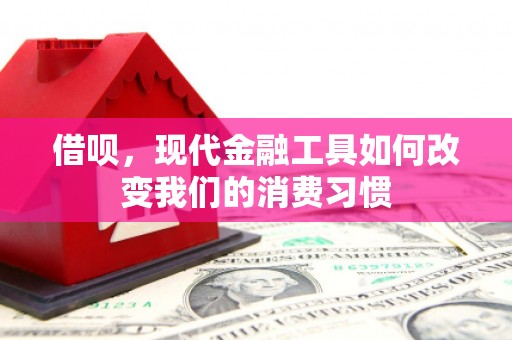 富源借呗，现代金融工具如何改变我们的消费习惯