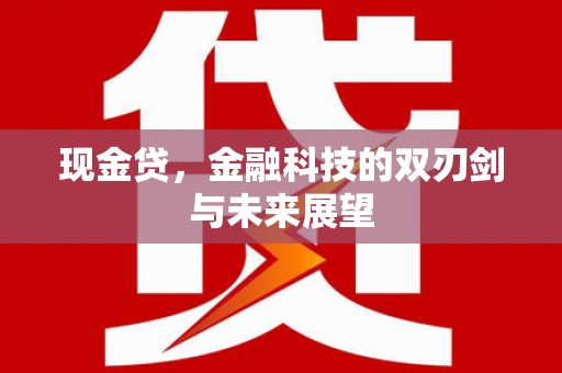 富源现金贷，金融科技的双刃剑与未来展望