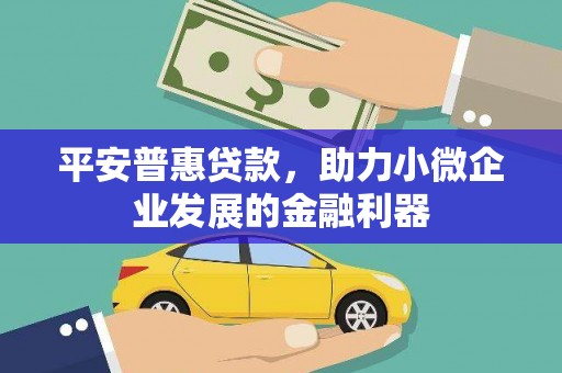 富源平安普惠贷款，助力小微企业发展的金融利器