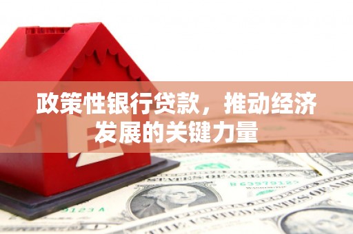 富源政策性银行贷款，推动经济发展的关键力量