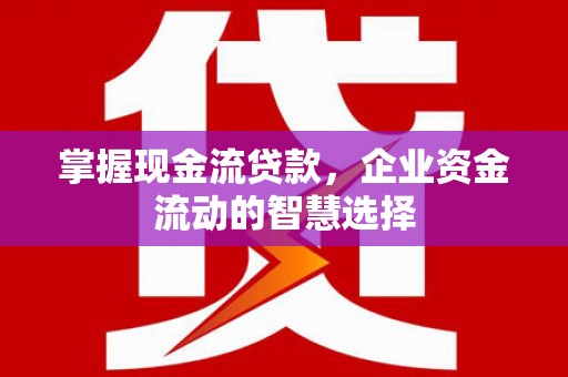 富源掌握现金流贷款，企业资金流动的智慧选择