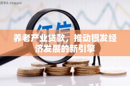 富源养老产业贷款，推动银发经济发展的新引擎