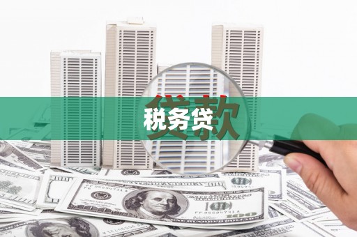 富源税务贷