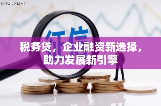 富源税务贷，企业融资新选择，助力发展新引擎