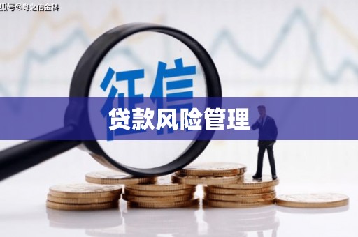 富源贷款风险管理